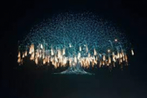 LiuYang, Hunan Sets Guinness World Record for Largest Drone Fireworks Show