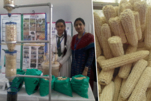 Odisha’s 13-Year-Old Lalita Wins Google Science Award for Corn Cob Water Purifier