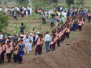 One Day, 66 Million Trees Madhya Pradesh Sets a Stunning New World Record for Mass Plantation