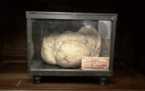 Romania Sets World Record for World’s Oldest Bread Replica in Galați