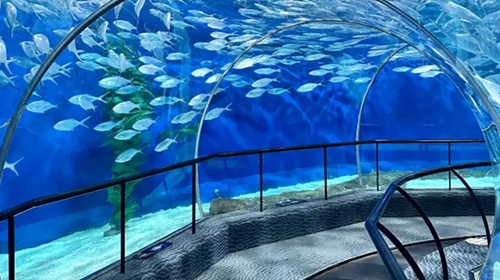 Shanghai Ocean Aquarium Features One of the World’s Longest Underwater Viewing Tunnels at 155 Meters