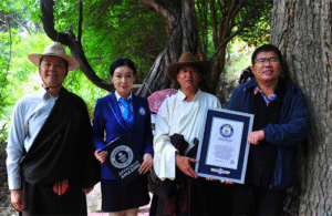 World’s Oldest Grape Vine Found in Tibet