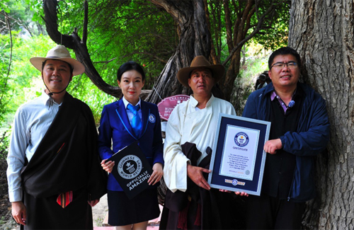  World’s Oldest Grape Vine Found in Tibet