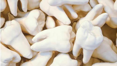  A Look Back at the Most Expensive Teeth Ever Sold at Auction and the Famous Mouths They Came From