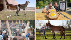 Best Records of 2025 Feats of Strength, Massive Food Creations and One Iconic Doggy Playdate