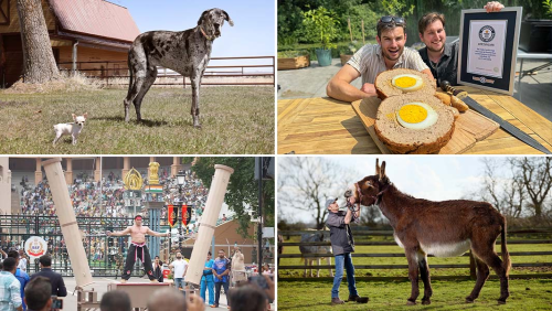  Best Records of 2025 Feats of Strength, Massive Food Creations and One Iconic Doggy Playdate