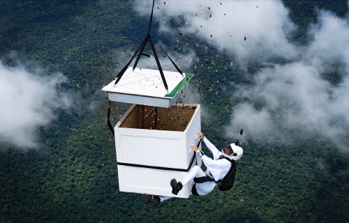  Brazilian Skydiver Luigi Cani Drops 100 Million Seeds to Help Revive the Amazon Rainforest
