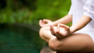Heartfulness Sets New Guinness World Record on World Meditation Day