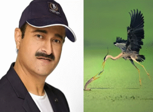 Indian Wildlife Photographer Ranked World No.1 at Global Refocus Awards