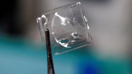  Japan Scientists Create Revolutionary Plastic That Dissolves in Seawater Within Hours