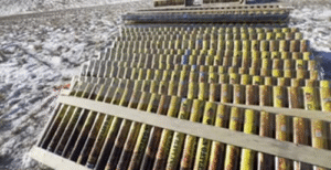 Mandan to Attempt World Record With Fireworks Honouring Veterans