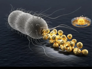 Scientists Discover Bacterium That Turns Toxic Metals Into Gold