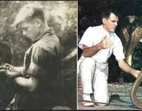  The Legendary “Snake Man” How Bill Haast Survived 170 Snake Bites and Lived to 100