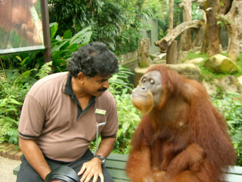  World’s First Nocturnal Zoo