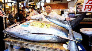 $3.2 Million Bluefin Tuna Fetches Top Price at Tokyo’s First Fish Auction of 2026