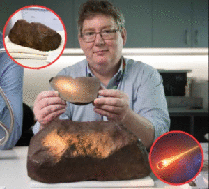 Ancient Iron Meteorite Reveals Secrets From the Birth of the Solar System