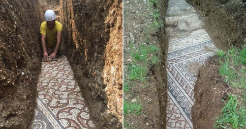  Ancient Roman Mosaic Unearthed Beneath Vineyard in Negrar di Valpolicella