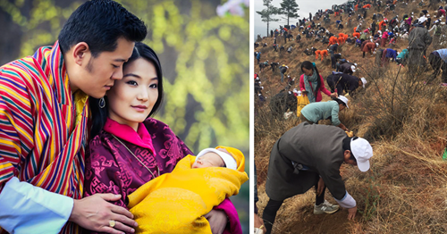  Eco-Friendly Kingdom Plants 108,000 Trees to Celebrate Birth of New Prince