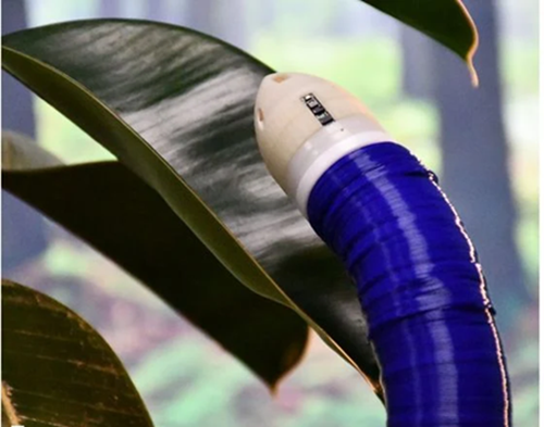  Italy’s 3D-Printing “Vine Bot”