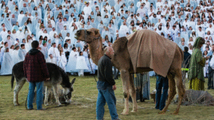 Largest Live Nativity Scene