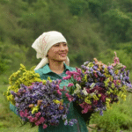 Manipur’s Flower Lady is Blooming a Sustainable Revolution