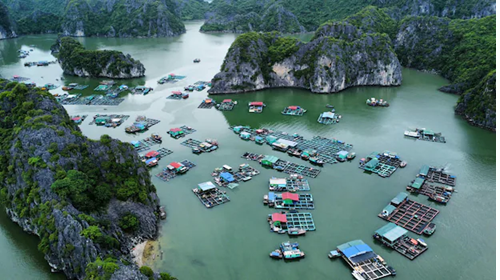  Vietnam’s Floating Village Culture: Ingenious Homes on Water Thrive Along Rivers and Bays