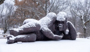 World’s Largest Bronze Gorilla Sculpture Unveiled