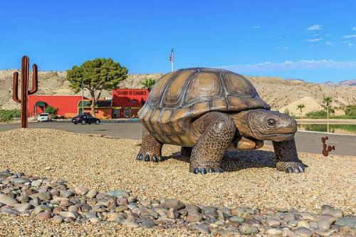  World’s Largest Desert Tortoise Sculpture