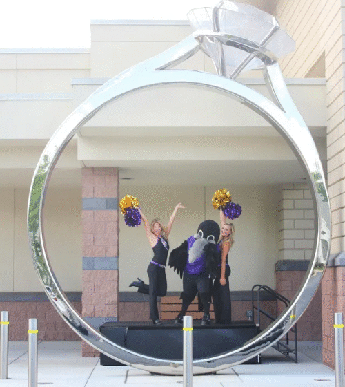  World’s Largest Engagement Ring