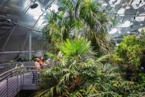 World’s Largest Indoor Living Rain Forest