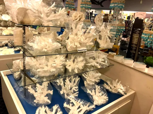  World’s Largest Shell Factory