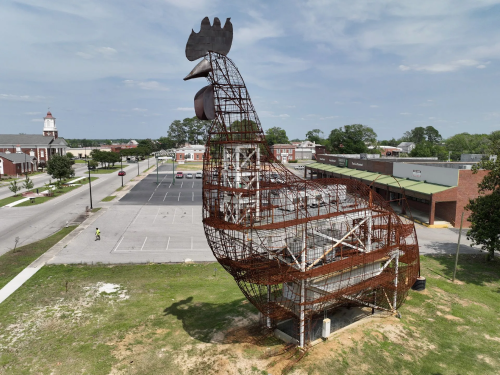  World’s Largest Skeletal Chicken