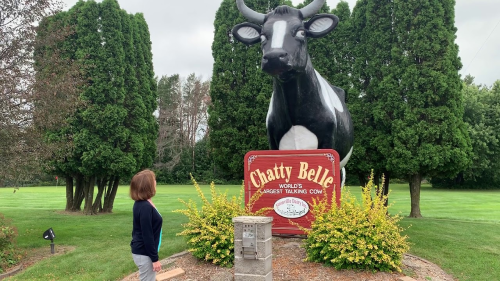  World’s Largest Talking Cow