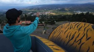 Colombia’s Giant Bee Sculpture Aims for Guinness World Record