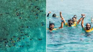 Hundreds of Snorkellers Unite in Record-Breaking Swim to Protect Marine Life