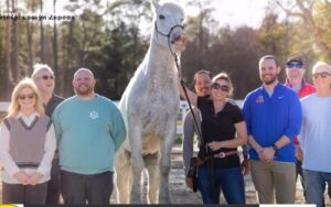 Cape Fear Trainer and Mustang ‘Gringo’ Break Guinness World Record