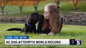 Kansas City Dog Attempts Guinness World Record