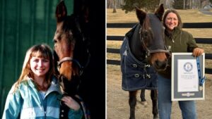 The Oldest Living Horse in the World Who Grew Up Alongside Her Owner