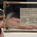 Hair Collector Limits Collection to Deceased Celebrities After Legal Threat