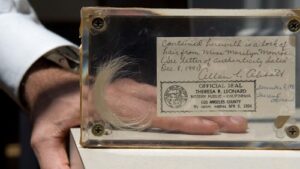 Hair Collector Limits Collection to Deceased Celebrities After Legal Threat