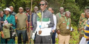 Hillary Kiplagat Sets World Record After Planting 23,326 Trees in Under 24 Hours